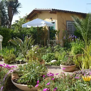 Le Cicale Casa vacanze Casal Palocco